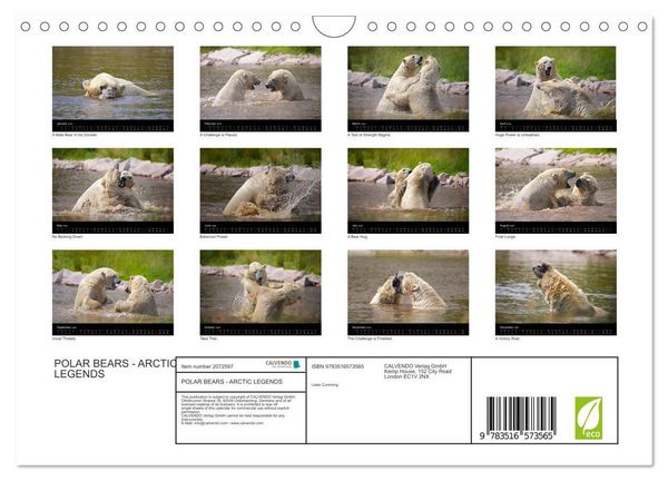 Produktbild: POLAR BEARS - ARCTIC LEGENDS (Wall Calendar 2026 DIN A4 landscape), CALVENDO 12 Month Wall Calendar