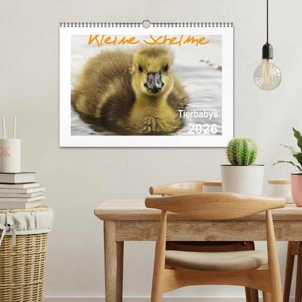 Produktbild: Kleine Schelme - Tierbabys (Wandkalender 2026 DIN A3 quer), CALVENDO Monatskalender