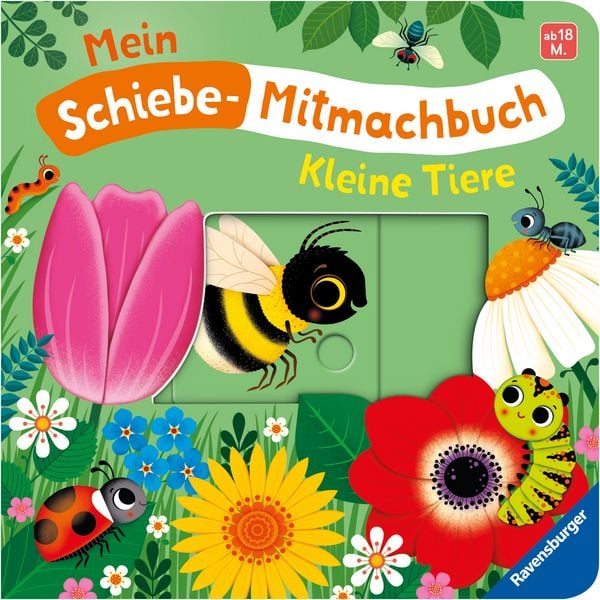 Produktbild: Mein Schiebe-Mitmachbuch - Kleine Tiere
