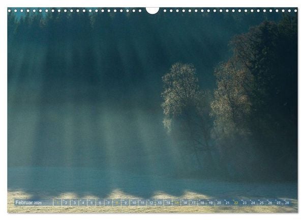 Produktbild: Spaziergang im Wald (Wandkalender 2026 DIN A3 quer), CALVENDO Monatskalender