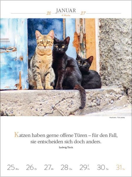 Produktbild: Literaturkalender Katzen 2027