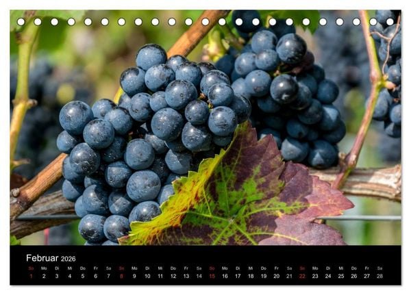 Produktbild: Sommerach - Perle der Mainschleife (Tischkalender 2026 DIN A5 quer), CALVENDO Monatskalender