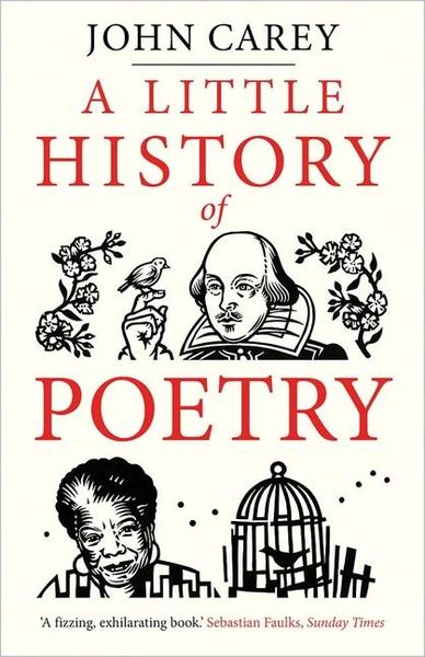 Produktbild: A Little History of Poetry