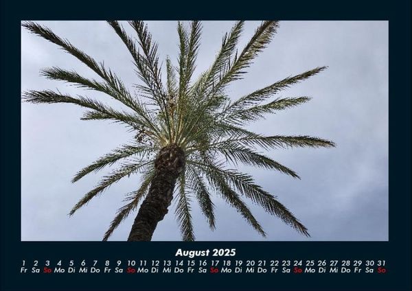 Produktbild: Palmentraum 2025 Fotokalender DIN A4