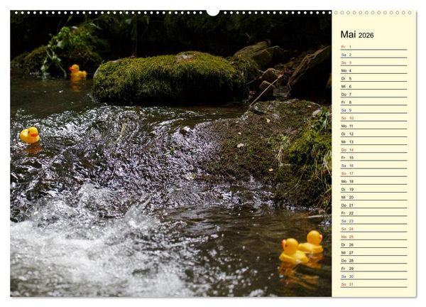 Produktbild: Enten-Rennen (Wandkalender 2026 DIN A2 quer), CALVENDO Monatskalender