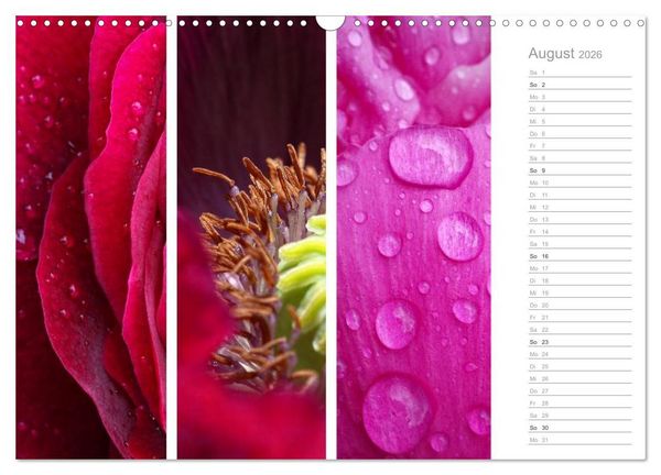Produktbild: Nat&uuml;rlicher Dreiklang (Wandkalender 2026 DIN A3 quer), CALVENDO Monatskalender