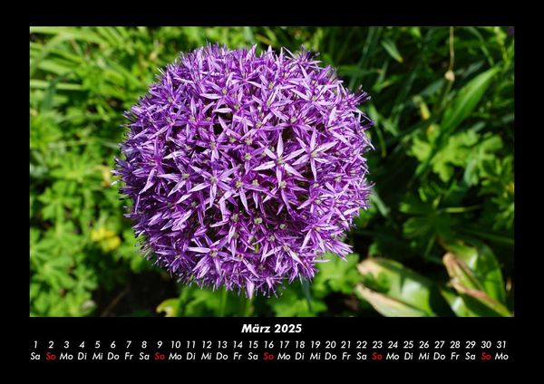 Produktbild: Blumentraum 2025 Fotokalender DIN A3