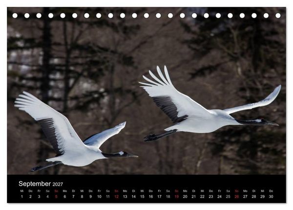 Produktbild: Mandschurenkraniche (Tischkalender 2027 DIN A5 quer), CALVENDO Monatskalender