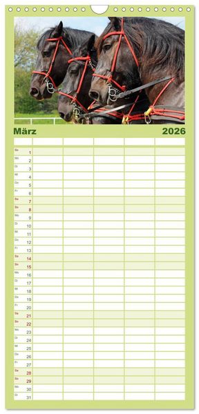 Produktbild: Familienplaner 2026 - Schwere Pferde mit 5 Spalten (Wandkalender, 21 x 45 cm) CALVENDO