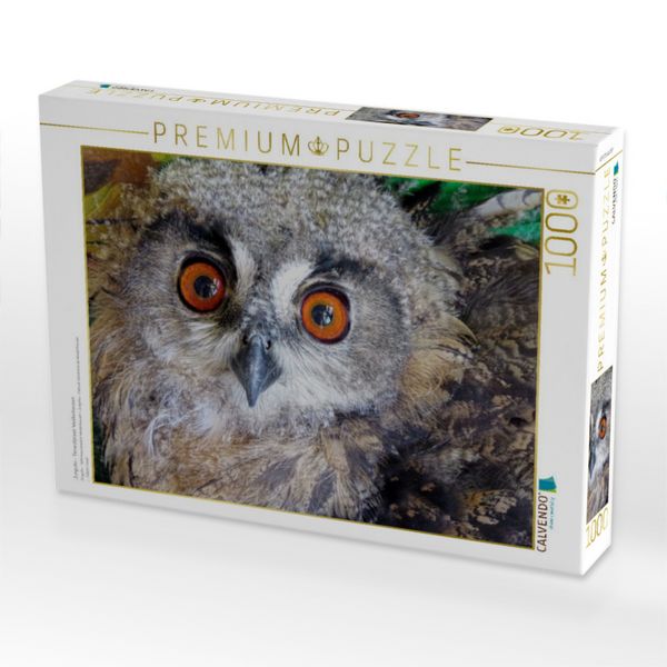 Produktbild: CALVENDO Puzzle Junguhu - Tierarztpraxis Weidenhausen | 1000 Teile Lege-Gr&ouml;&szlig;e 64x48cm Foto-Puzzle f&uuml;r gl&uuml;ckliche Stunden