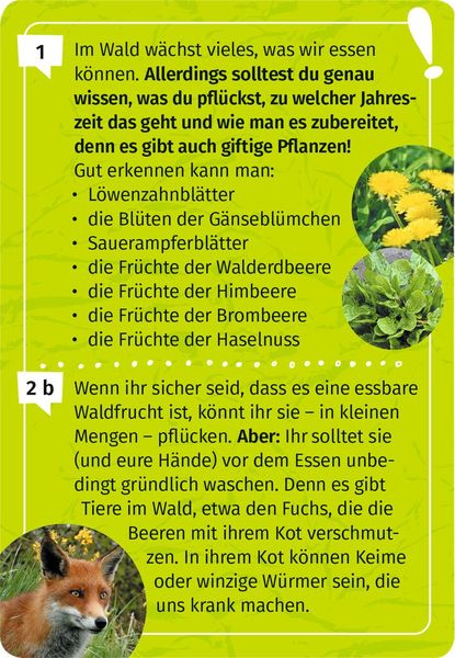 Produktbild: Expedition Natur Mein Wald-Forscherquiz