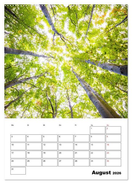Produktbild: Insel R&uuml;gen - Wilde Sch&ouml;nheit an der Ostsee (hochwertiger Premium Wandkalender 2026 DIN A2 hoch), Kunstdruck in Hochglanz