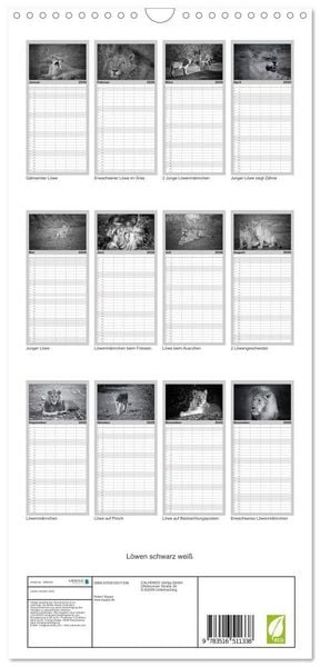 Produktbild: Familienplaner 2026 - L&ouml;wen schwarz wei&szlig; mit 5 Spalten (Wandkalender, 21 x 45 cm) CALVENDO