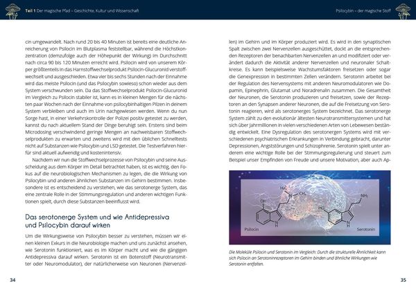 Produktbild: Microdosing mit Psilocybin