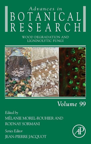 Produktbild: Wood Degradation and Ligninolytic Fungi