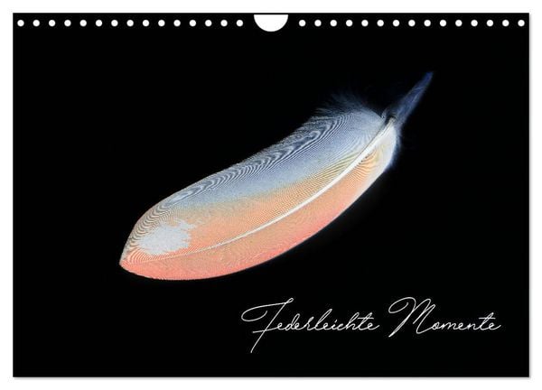 Produktbild: Federleichte Momente (Wandkalender 2026 DIN A4 quer), CALVENDO Monatskalender