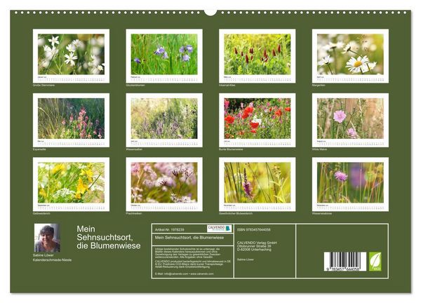 Produktbild: Mein Sehnsuchtsort, die Blumenwiese (Wandkalender 2026 DIN A2 quer), CALVENDO Monatskalender