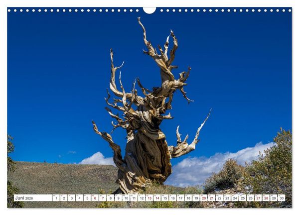 Produktbild: Juwelen der Sierra Nevada (Wandkalender 2026 DIN A3 quer), CALVENDO Monatskalender