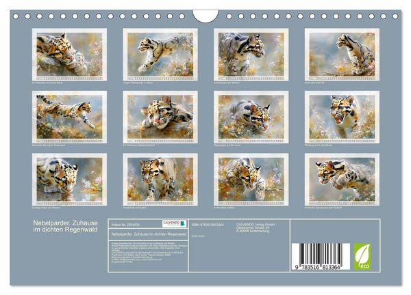 Produktbild: Nebelparder. Zuhause im dichten Regenwald (Wandkalender 2027 DIN A4 quer), CALVENDO Monatskalender