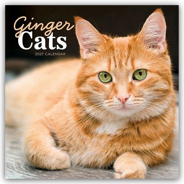 Produktbild: Ginger Cats &ndash; Rothaarige Katzen 2027 &ndash; Wand-Kalender