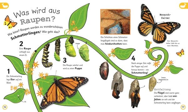 Wissen für Vorschulkids. Weißt du das?