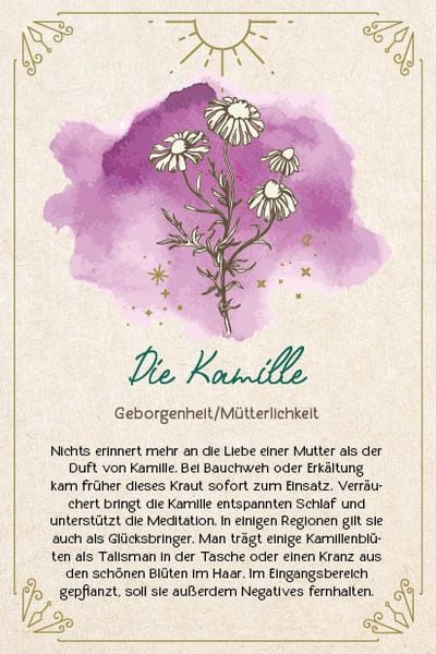 Produktbild: Orakel-Karten-Box: Naturmomente f&uuml;r deine Seele: Nutze die Kraft der gr&uuml;nen Magie