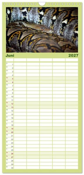 Produktbild: Familienplaner 2027 - Schlangen mit 5 Spalten (Wandkalender, 21 x 45 cm) CALVENDO