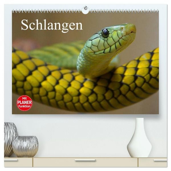 Produktbild: Schlangen (hochwertiger Premium Wandkalender 2026 DIN A2 quer), Kunstdruck in Hochglanz