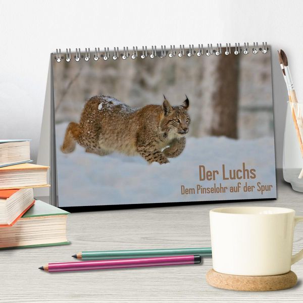 Produktbild: Der Luchs - Dem Pinselohr auf der Spur (Tischkalender 2026 DIN A5 quer), CALVENDO Monatskalender
