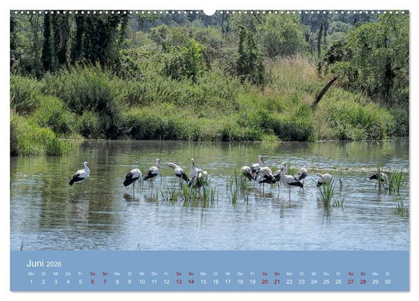 Produktbild: Das Jahr an der Naab zwischen Burglengenfeld und Kallm&uuml;nz (hochwertiger Premium Wandkalender 2026 DIN A2 quer), Kunstdruck in Hochglanz
