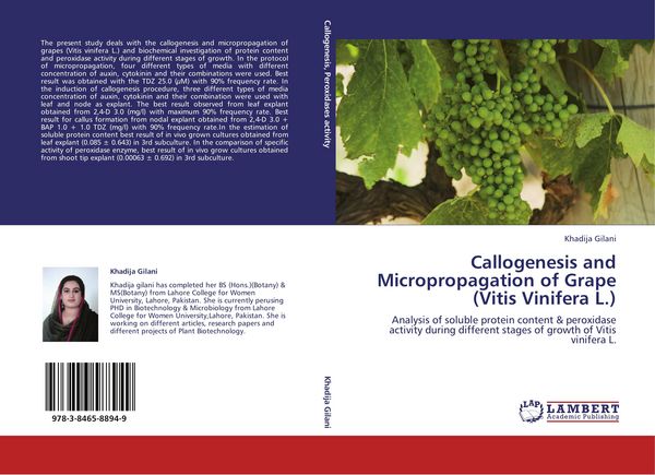 Produktbild: Callogenesis and Micropropagation of Grape (Vitis Vinifera L.)