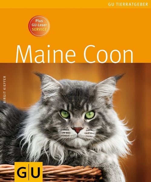 Produktbild: Maine Coon
