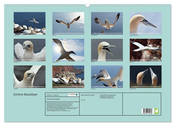 Produktbild: Sch&ouml;ne Basst&ouml;lpel (Wandkalender 2026 DIN A2 quer), CALVENDO Monatskalender