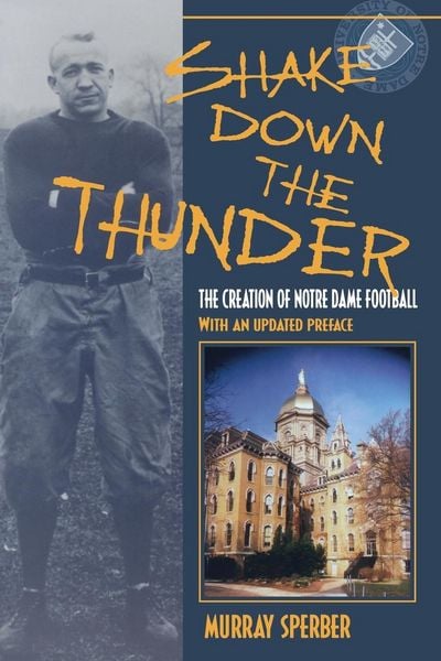 Produktbild: Shake Down the Thunder