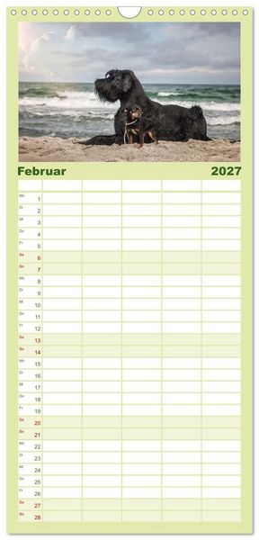 Produktbild: Familienplaner 2027 - Mit dem Riesenschnauzer durch das Jahr mit 5 Spalten (Wandkalender, 21 x 45 cm) CALVENDO
