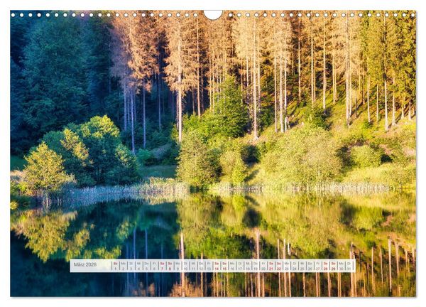 Produktbild: Die Sch&ouml;nheit des Th&uuml;ringer Waldes (Wandkalender 2026 DIN A3 quer), CALVENDO Monatskalender