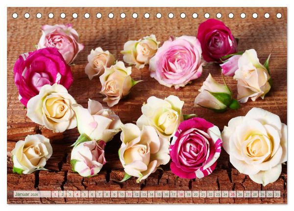 Produktbild: So viele sch&ouml;ne Rosen (Tischkalender 2026 DIN A5 quer), CALVENDO Monatskalender