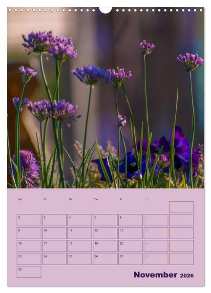 Produktbild: Wald- und Wiesenkalender 2026 Planer (Wandkalender 2026 DIN A3 hoch), CALVENDO Monatskalender