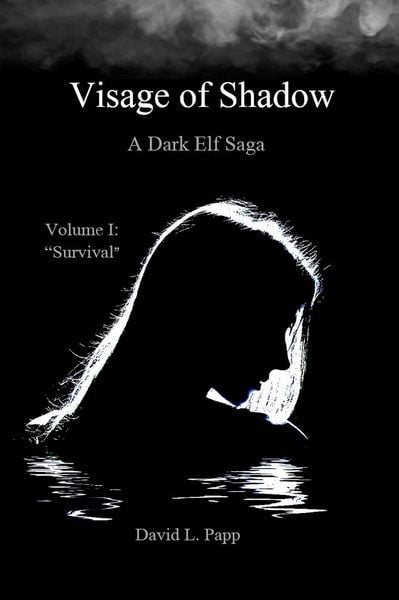 Produktbild: Survival (Visage of Shadow, #1)