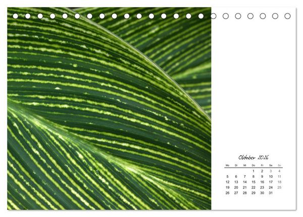 Produktbild: Blattkunst (Tischkalender 2026 DIN A5 quer), CALVENDO Monatskalender