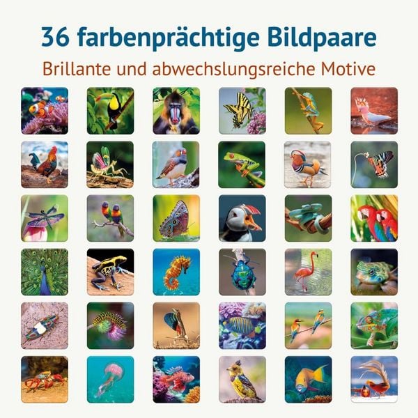 Produktbild: Farbenpr&auml;chtig - Memospiel