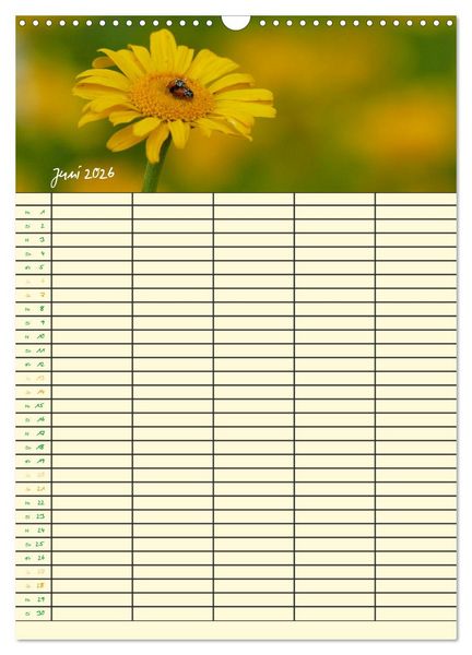 Produktbild: Kleine Natursch&ouml;nheiten (Wandkalender 2026 DIN A3 hoch), CALVENDO Monatskalender
