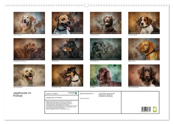 Produktbild: Jagdhunde im Portrait (Wandkalender 2026 DIN A2 quer), CALVENDO Monatskalender