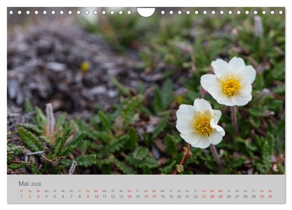 Produktbild: Spitzbergen 80&deg; Nord (Wandkalender 2026 DIN A4 quer), CALVENDO Monatskalender