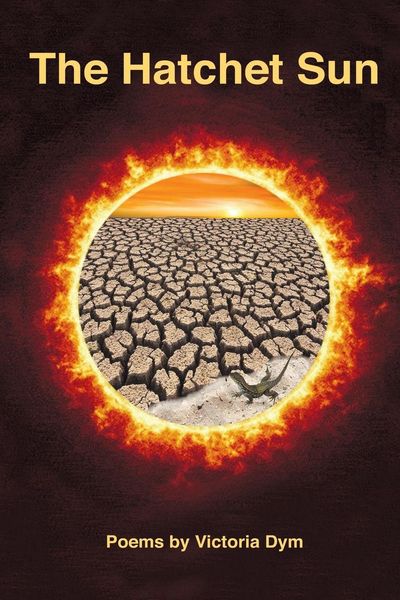 Produktbild: The Hatchet Sun