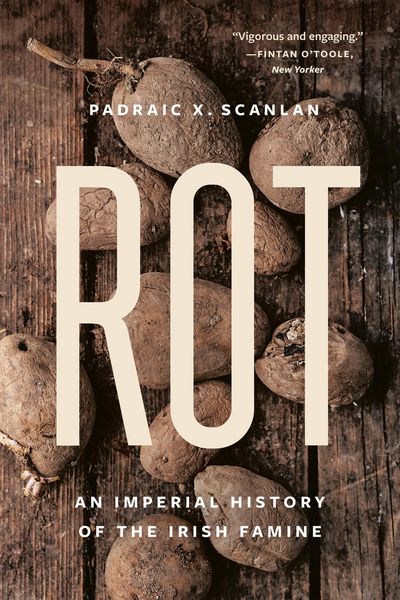 Produktbild: Rot