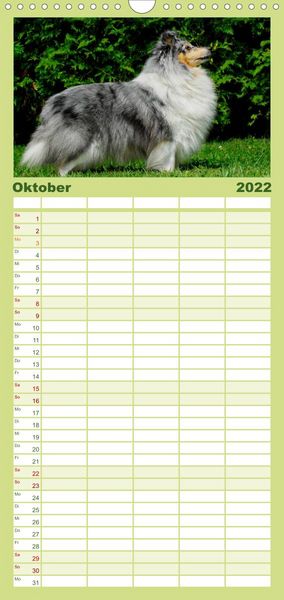 Produktbild: Sheltie 2022 - Familienplaner hoch (Wandkalender 2022 , 21 cm x 45 cm, hoch)
