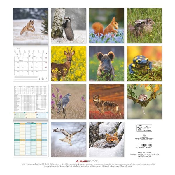 Geheimnisvolles Waldleben 2026 - Broschürenkalender 30x30 cm (30x60 geöffnet) - Kalender mit Platz für Notizen - Forest Animals - Bildkalender - Wandk