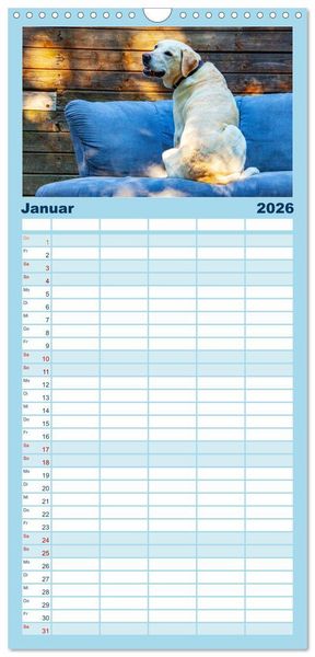Produktbild: Familienplaner 2026 - Witzige Fellnasen mit 5 Spalten (Wandkalender, 21 x 45 cm) CALVENDO