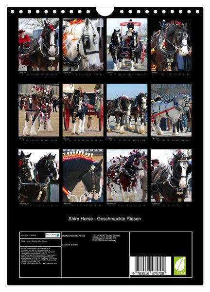 Produktbild: Shire Horse - Geschm&uuml;ckte Riesen (Wandkalender 2026 DIN A4 hoch), CALVENDO Monatskalender
